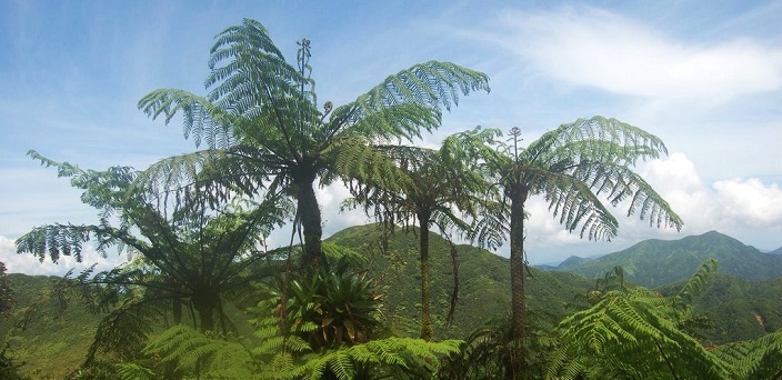 Club des Montagnards de Guadeloupe