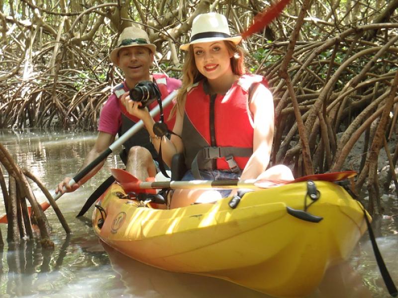 Visite de la mangrove en kayak en Guadeloupe