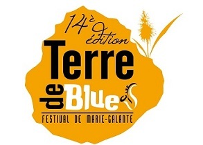 Festival Terre de Blues 14 me dition