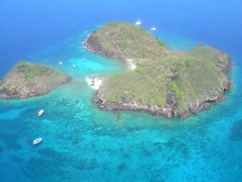 Anse Caraîbe Plongée