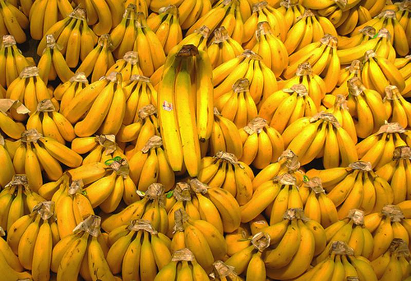 Maison de la banane